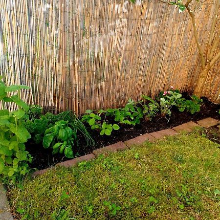 Sunny Sleeps 4 By The Beach With Garden Patio - Gdansk Przymorze Gdańsk Exterior foto