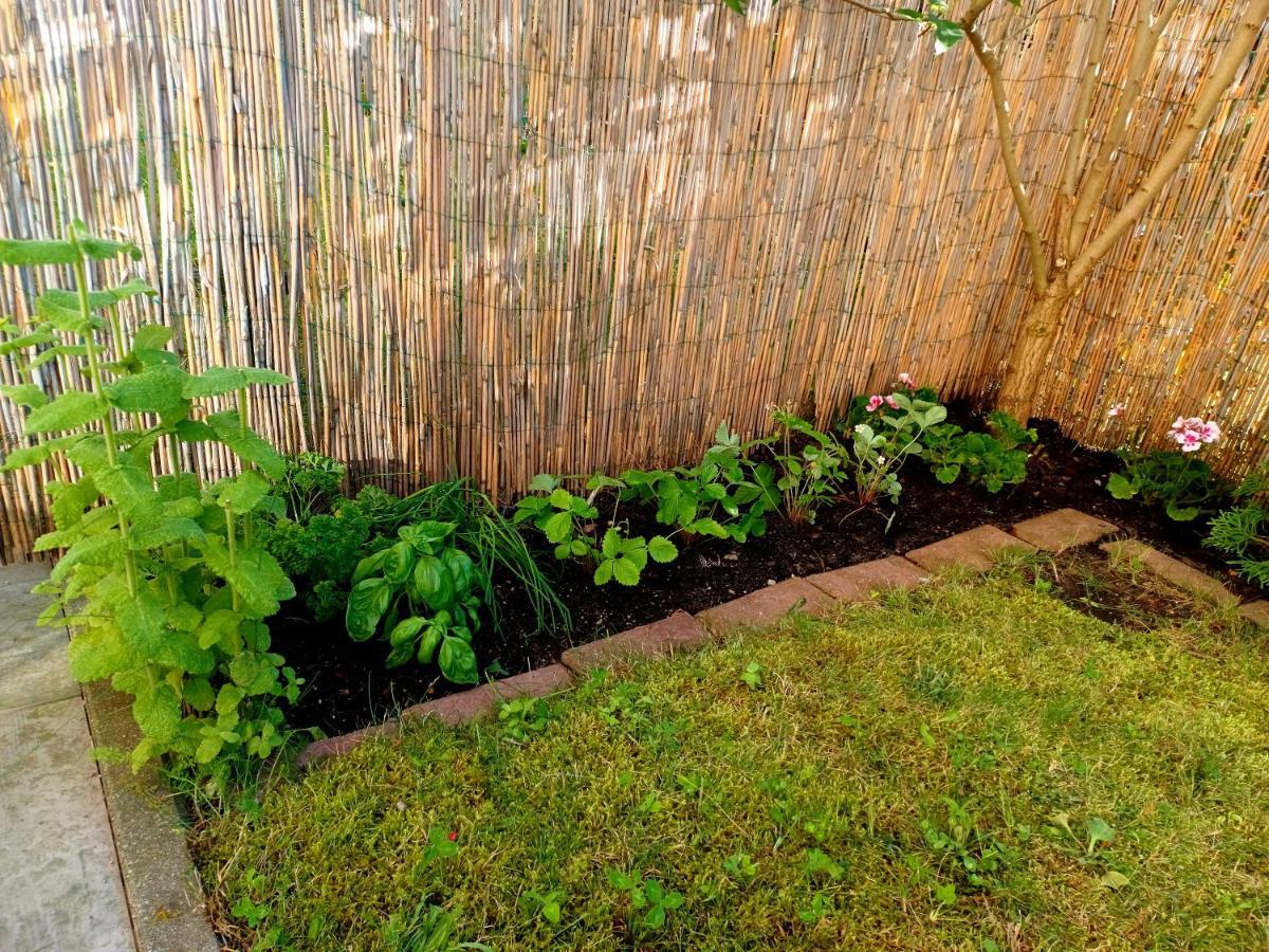 Sunny Sleeps 4 By The Beach With Garden Patio - Gdansk Przymorze Gdańsk Exterior foto